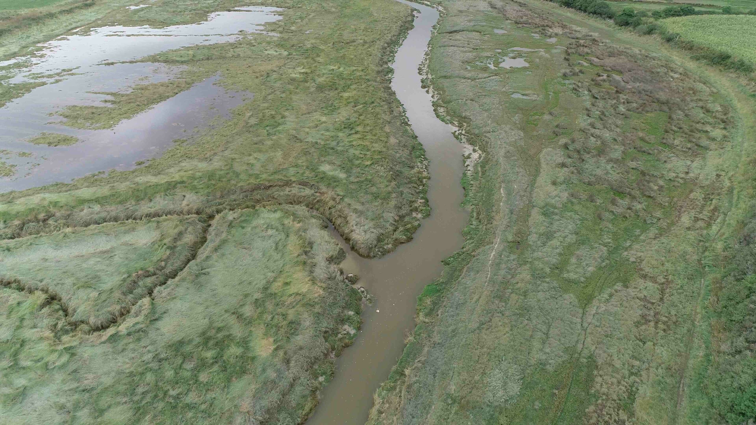 Etude d’opportunité de définition d’un ou plusieurs systèmes d’endiguement pour le territoire Côte Ouest Centre Manche et de renaturation du Havre de Saint Germain