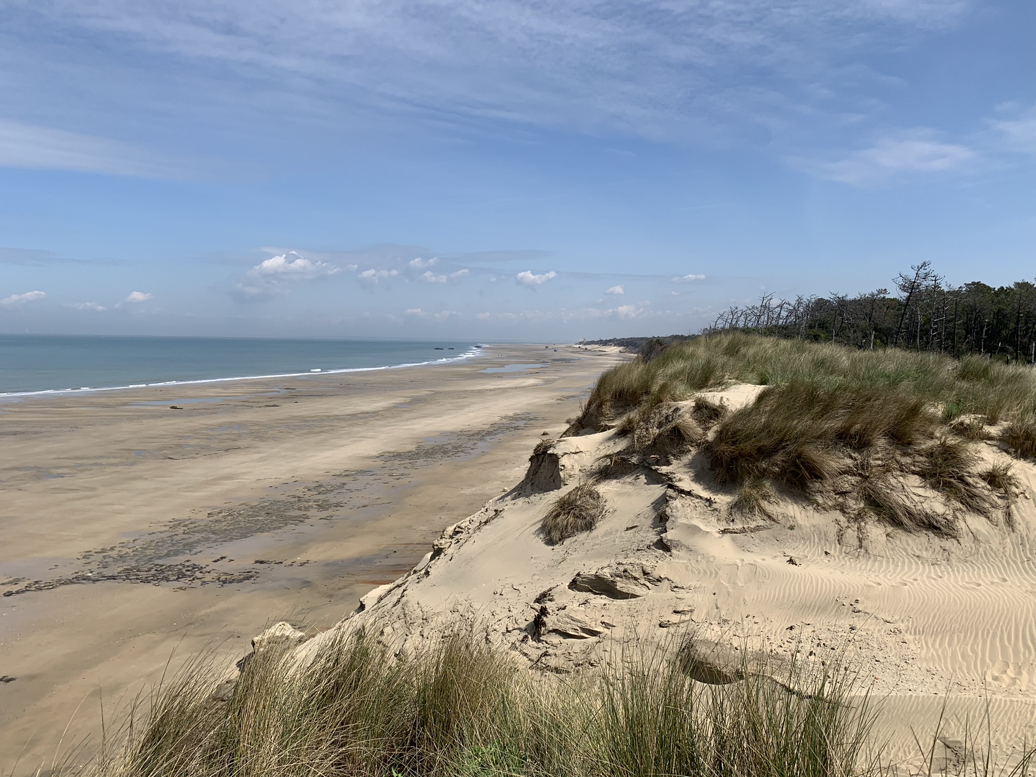 Bilan de la Stratégie Locale de Gestion de la Bande côtière de Soulac-sur-mer et Verdon-sur-mer