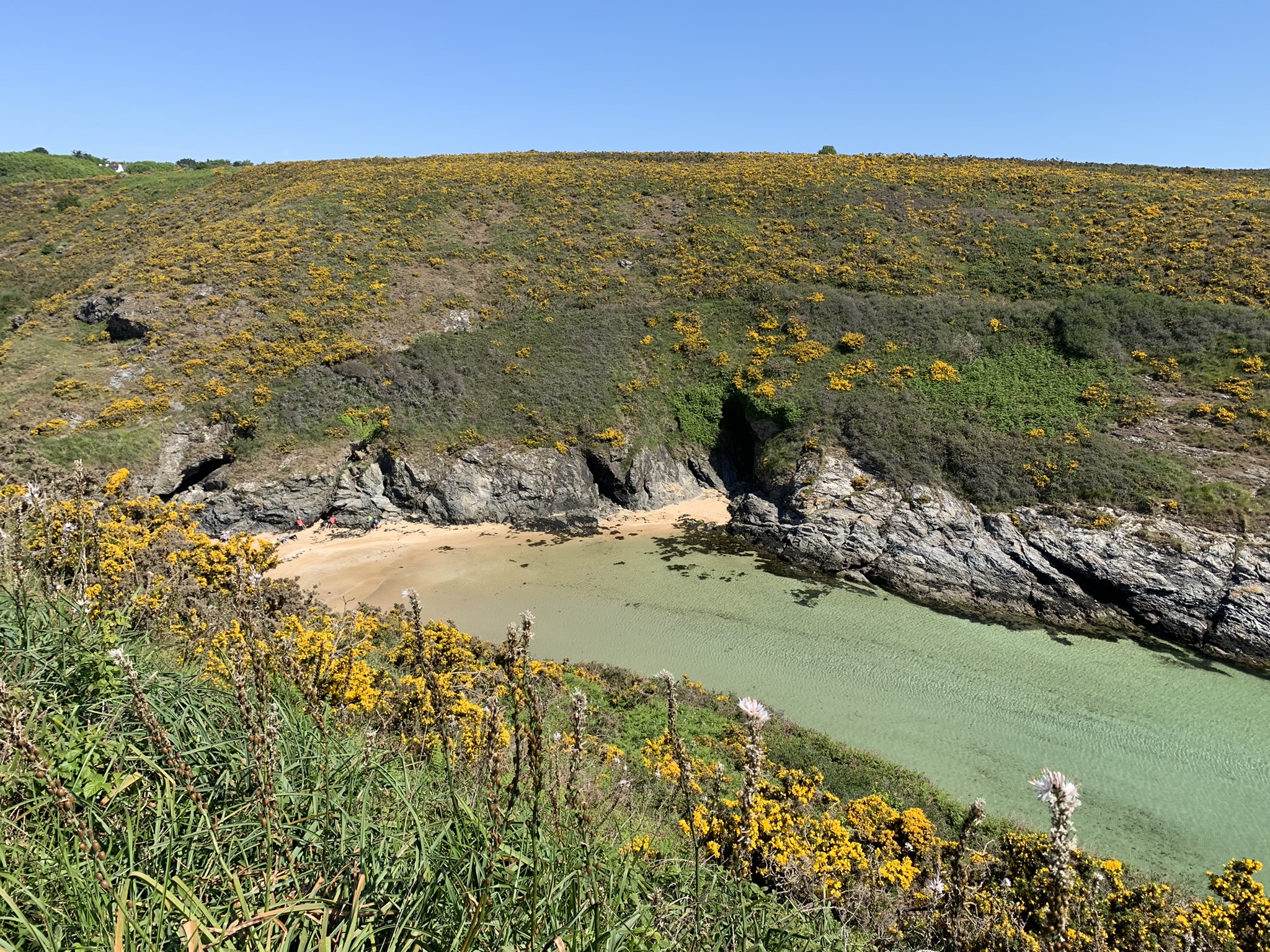 Réalisation d’un état des lieux des ouvrages de protection contre les inondations de Belle-Ile-en-Mer dans le cadre de l’application de la compétence GEMAPI